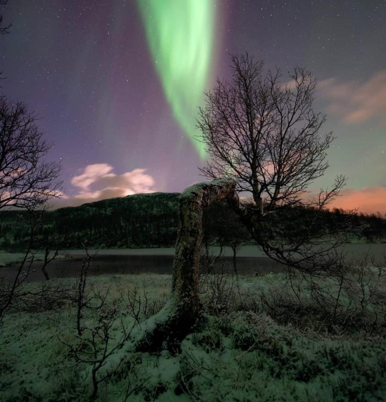 Harstad, All Seasons Ngoại thất bức ảnh