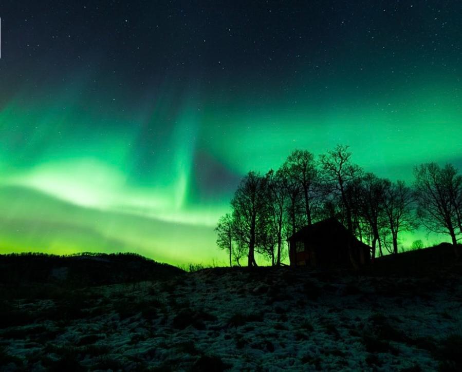 Harstad, All Seasons Ngoại thất bức ảnh
